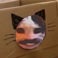 16967646476570.png