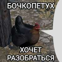 1749722222603.jpg