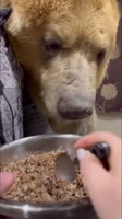 175256302012395919.mp4