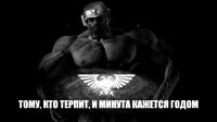 вфыв11.mp4