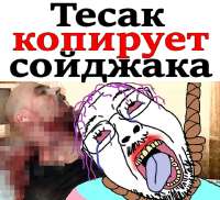 IMG20241002154936460115759.jpg