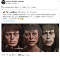 455631.jpg