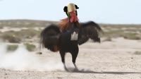 rtbrat3.mp4