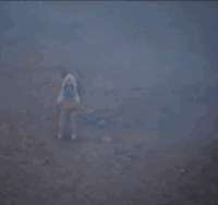 1618164051005.gif