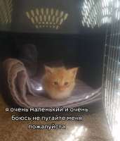 94A67B9C-7D32-45BD-B2F9-7F91E42E8623.jpeg