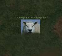 ovechka-gsc.jpg