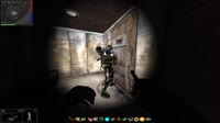 16152893226600.webm