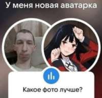 7068985.jpeg