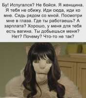 8x0fe0yz8kxe1.jpg