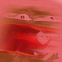 images.jpg