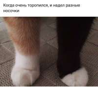 17370201815083.jpg