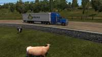 ets22025073118304800.png