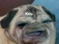 17541530559360.png