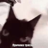 1726156777-865301-0cc4016b-e120-4b04-981f-30a9e25a1ed5.gif