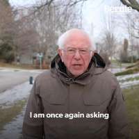 Bernie-I-Am-Once-Again-Asking-For.jpg