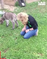 1748608934439.webm