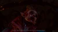 Baldurs Gate 3 Screenshot 2025.05.31 - 22.40.03.01.png