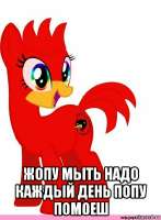 i (2).jpeg