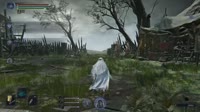 .mp4