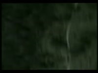 25318764246689935405.mp4