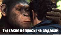 кажется-здравый-смысл-всё-таки-начал-брать-верх-жители-хан-v0-kihse3id7nec1.jpeg