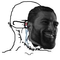 soy5.png