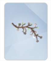 sims-4-enchanted-by-nature-single-item.png