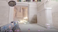 .mp4