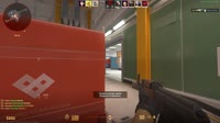 flusha.mp4