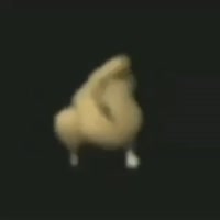 1672907628342.mp4