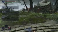 .mp4