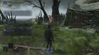 .mp4