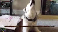 17169201451030.webm
