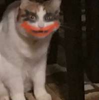 17410923996532.png
