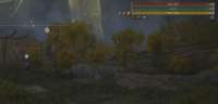 .webp