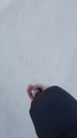 17390164740710.mp4
