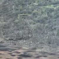 174903618548347777.mp4