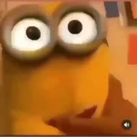 1747218012800.mp4