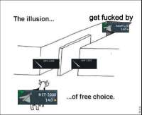 1000137599.jpg