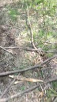 document5335040484819632245.mp4