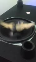 78623476854089.mp4