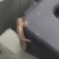 тряска.webm
