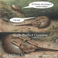 1749034933195.jpg