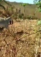 4654523.mp4