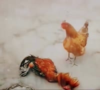 17490358372580.mp4