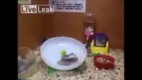 1537130100711.webm