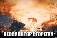 неосилятор сгорел.jpg
