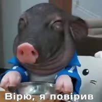 вiрю.webm