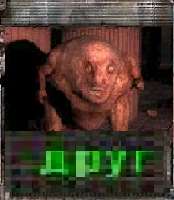 14451718128920.png