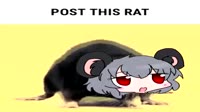16286887130921.mp4